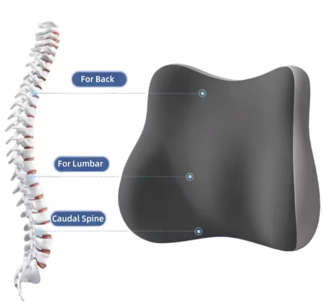 כרית גב אורטופדית