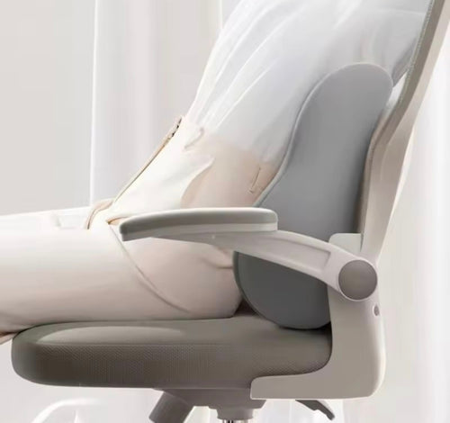 כרית גב אורטופדית